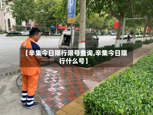 【辛集今日限行限号查询,辛集今日限行什么号】