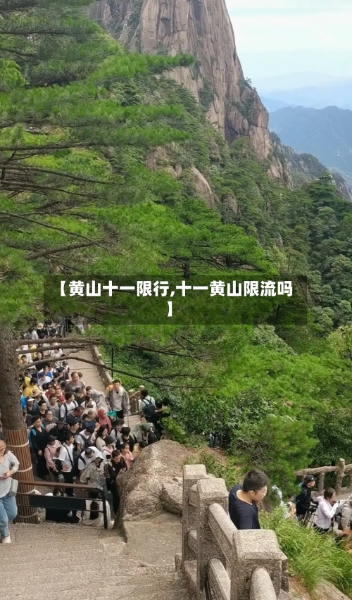 【黄山十一限行,十一黄山限流吗】-第3张图片