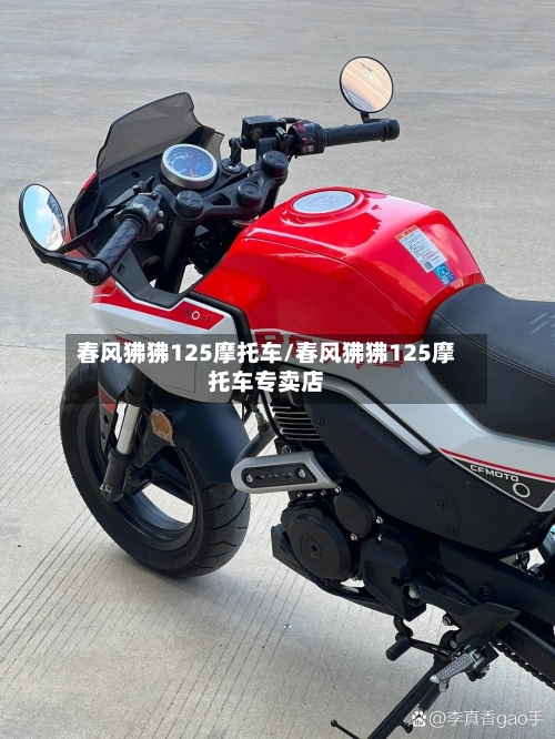 春风狒狒125摩托车/春风狒狒125摩托车专卖店-第2张图片