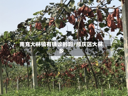 南充大林镇有确诊的吗/顺庆区大林乡-第2张图片