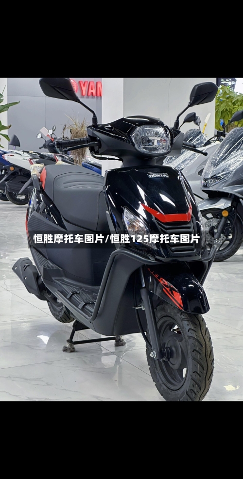 恒胜摩托车图片/恒胜125摩托车图片-第2张图片