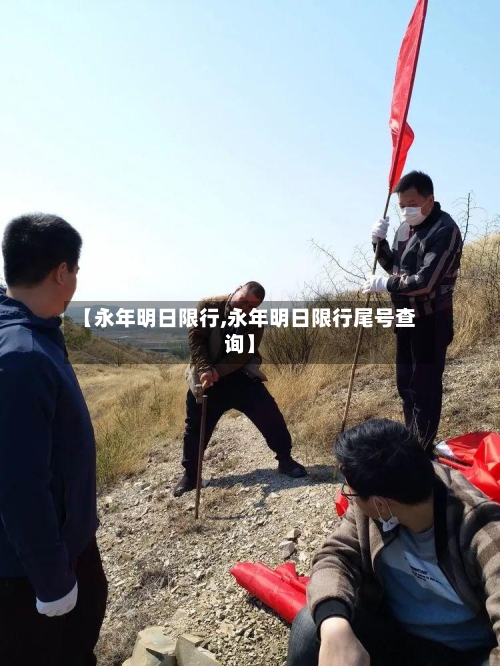 【永年明日限行,永年明日限行尾号查询】-第2张图片