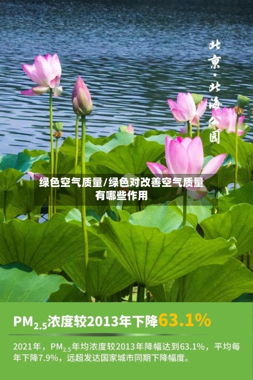 绿色空气质量/绿色对改善空气质量有哪些作用
