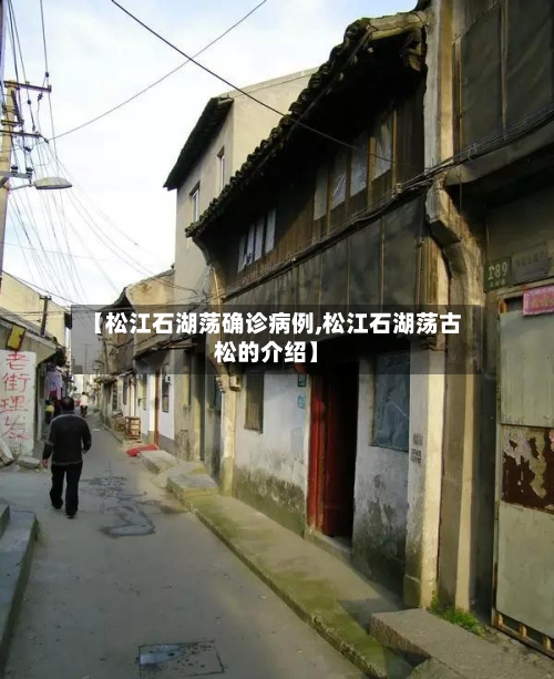 【松江石湖荡确诊病例,松江石湖荡古松的介绍】-第2张图片