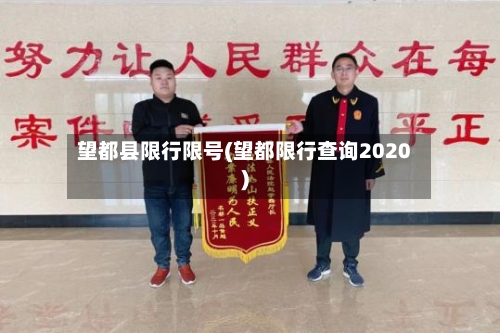 望都县限行限号(望都限行查询2020)-第3张图片