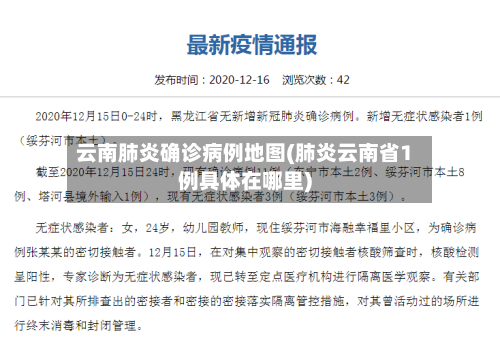 云南肺炎确诊病例地图(肺炎云南省1例具体在哪里)-第2张图片