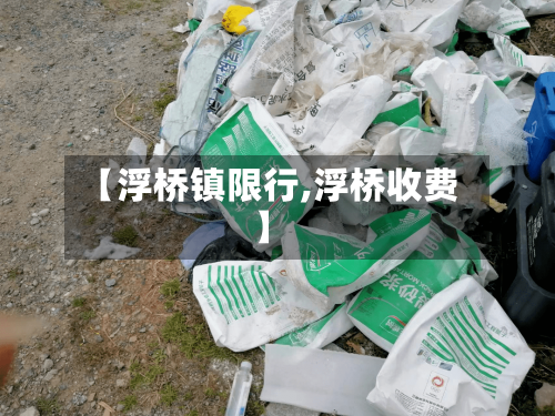 【浮桥镇限行,浮桥收费】-第2张图片