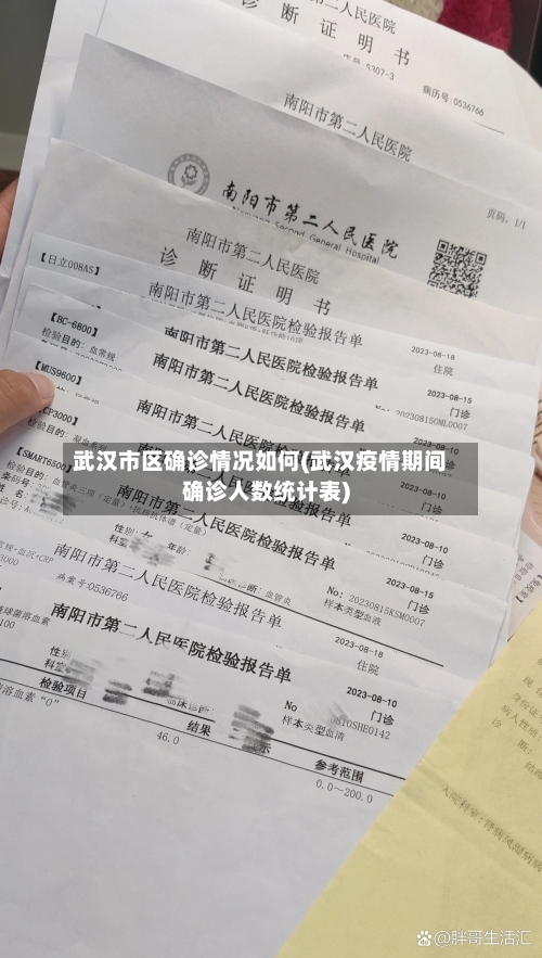 武汉市区确诊情况如何(武汉疫情期间确诊人数统计表)-第2张图片
