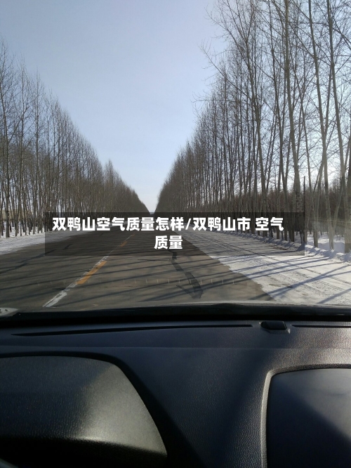 双鸭山空气质量怎样/双鸭山市 空气质量