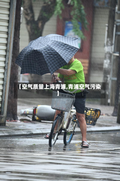 【空气质量上海青浦,青浦空气污染】