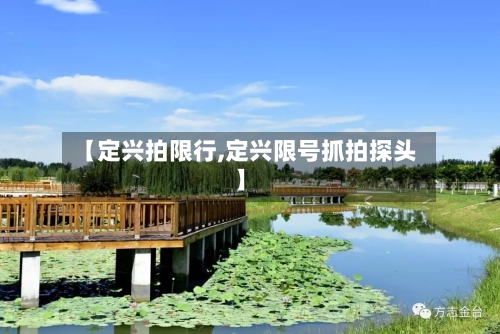 【定兴拍限行,定兴限号抓拍探头】