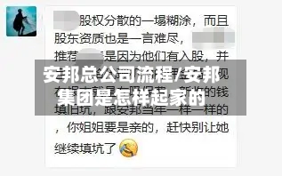 安邦总公司流程/安邦集团是怎样起家的
