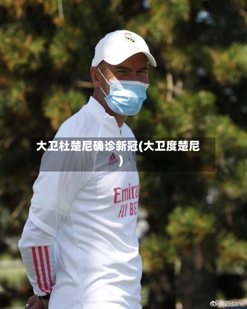大卫杜楚尼确诊新冠(大卫度楚尼)-第2张图片